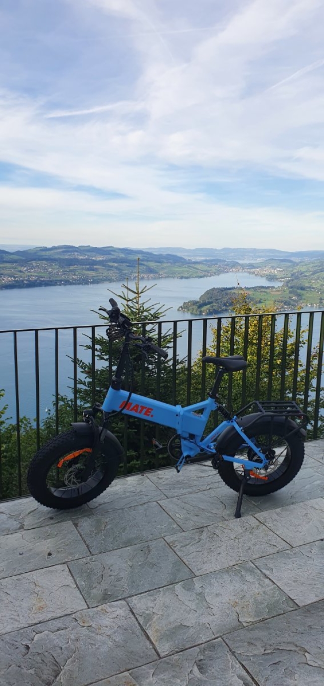 E-Mate Bike X Evo mit Daumengas