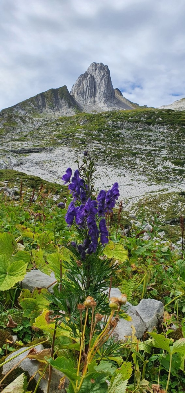 1.000 CHF Gutschein für Golden-Nature-Tours 