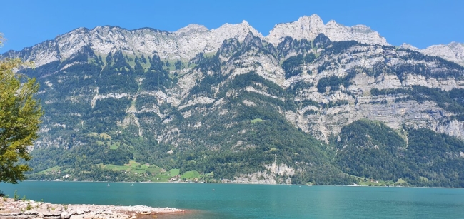 Jahres Gebühr Mitgliedschaft 