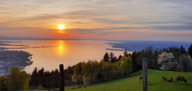 2 Erw. 5 Tage/Nächte im Hotel am Bodensee oder Walensee inkl. Frühstück + 2x Indiana SUP Premium Pack
