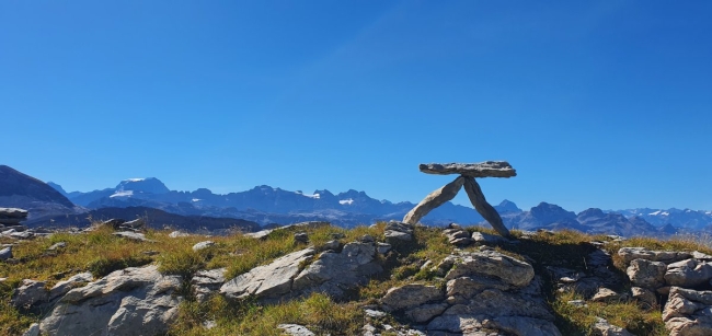 14 Tage Wander Stöcke