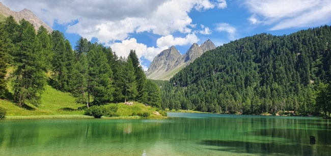 14 Tage Golden-Nature-Tours E-Dirtbike SWMBinsen 25 kmh 
